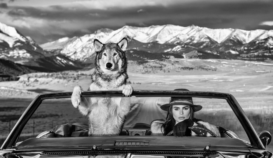 David Yarrow, Montana