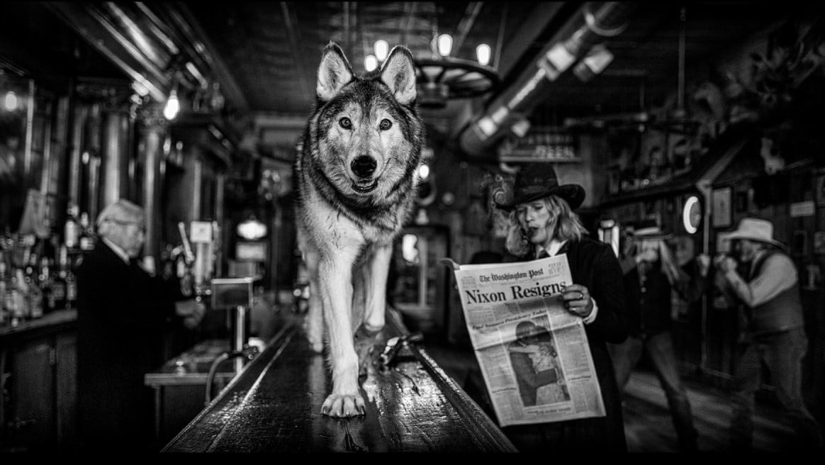 David Yarrow, Watergate