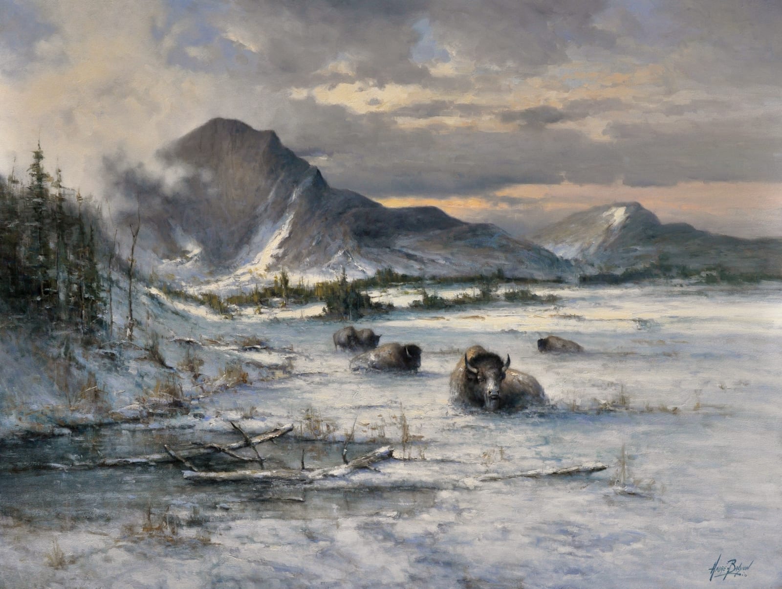 Andre Balyon, Yellowstone Majesty