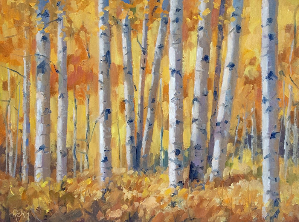 Bob Rohm, Walk in the Woods