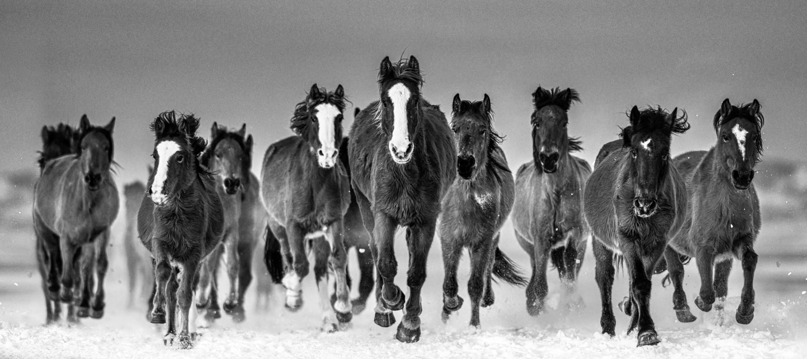 David Yarrow, The Rolling Stones