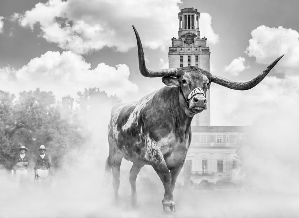 David Yarrow, Hook ‘em Horns (B&W)