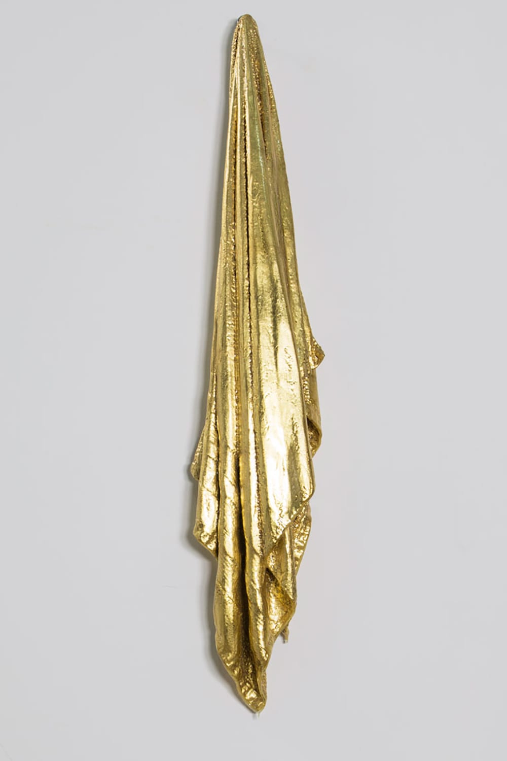 Hamilton Aguiar, 15081 Towel