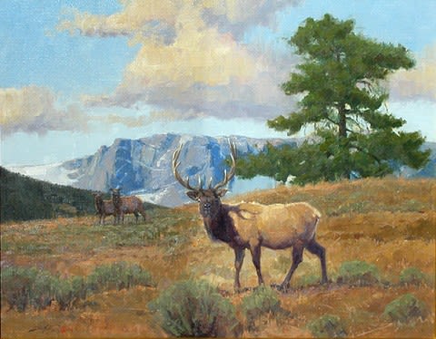 John Demott, On the Alert