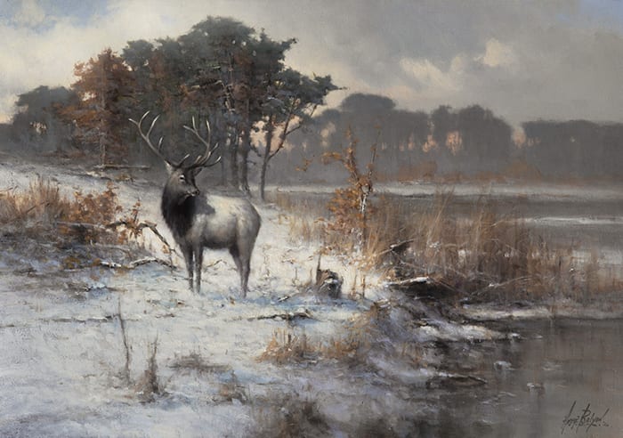 Andre Balyon, Winter Elk
