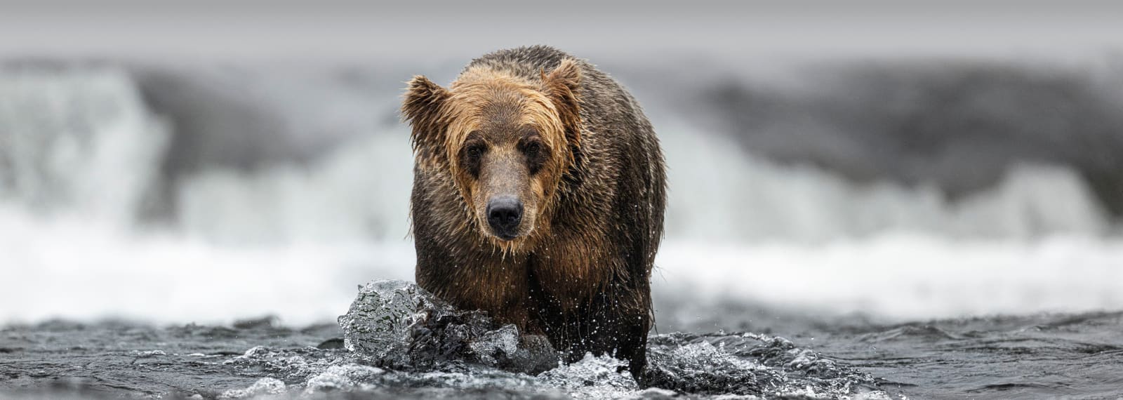 David Yarrow, Don't Go Chasing Waterfalls