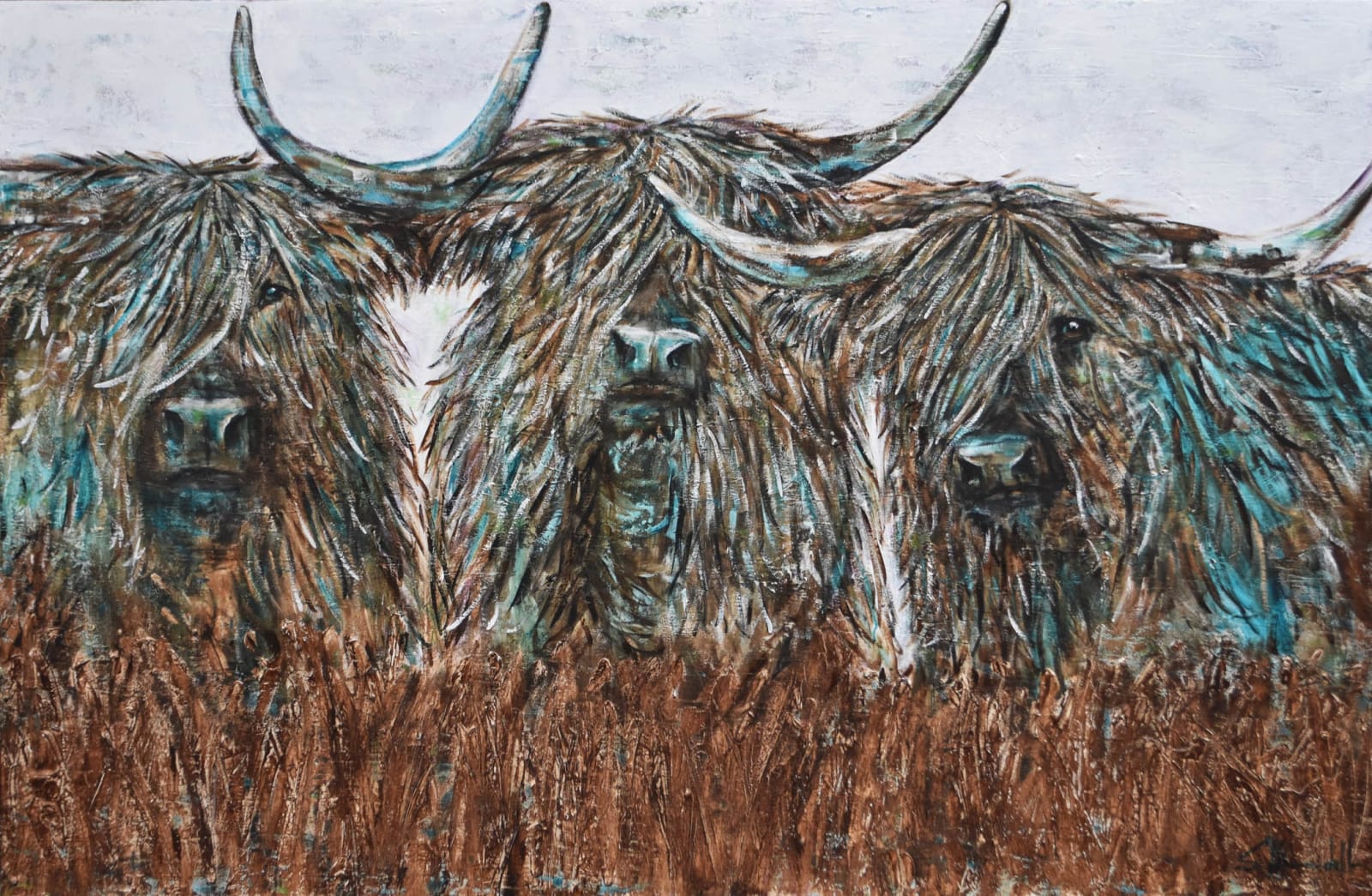 Shawndell, Curiosity