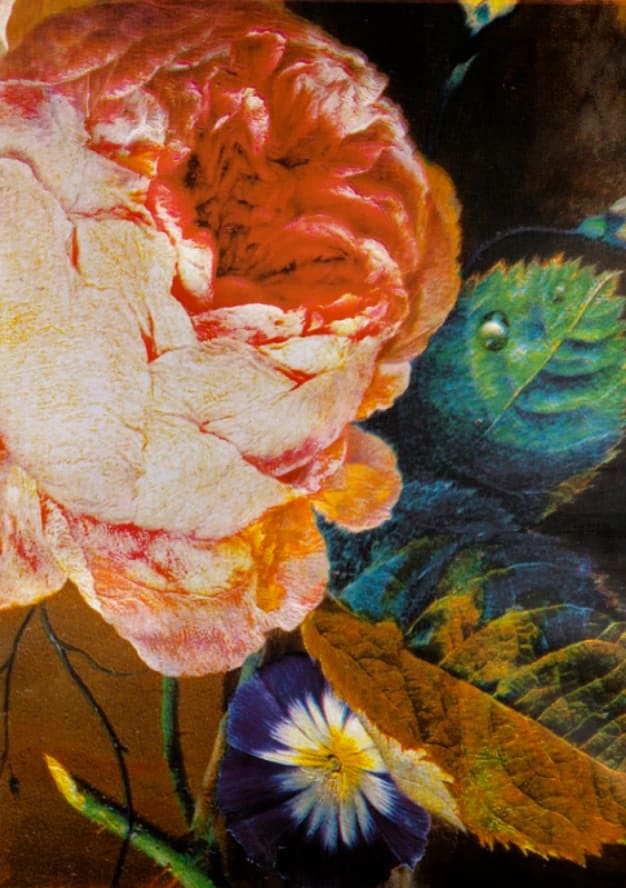 Russell Young, Paradise