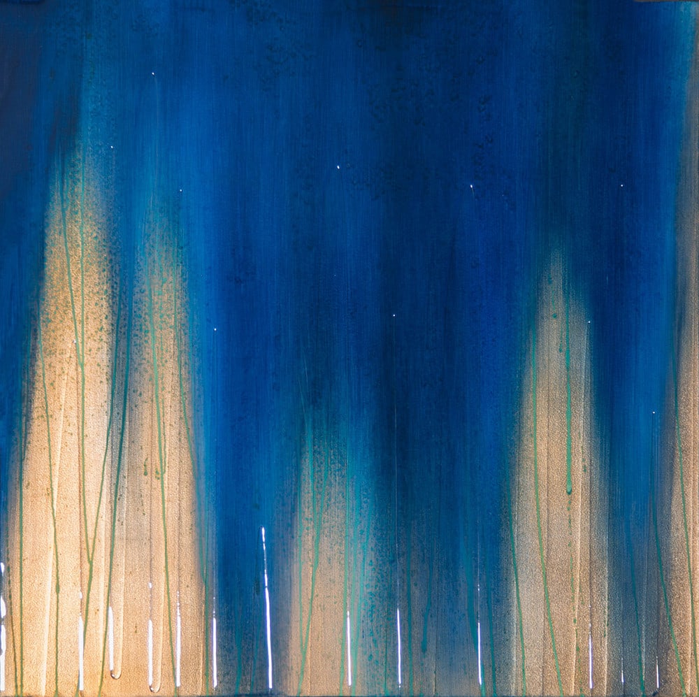 Hamilton Aguiar, 14052 Waterfall