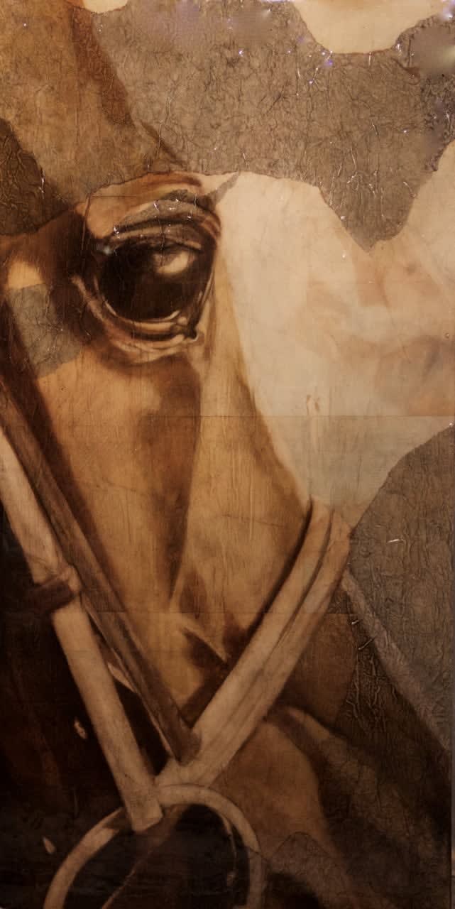 Kristin Knight, Morning Workout