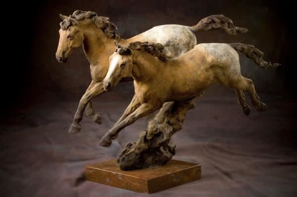 Jack Muir, Mesa Mesteno