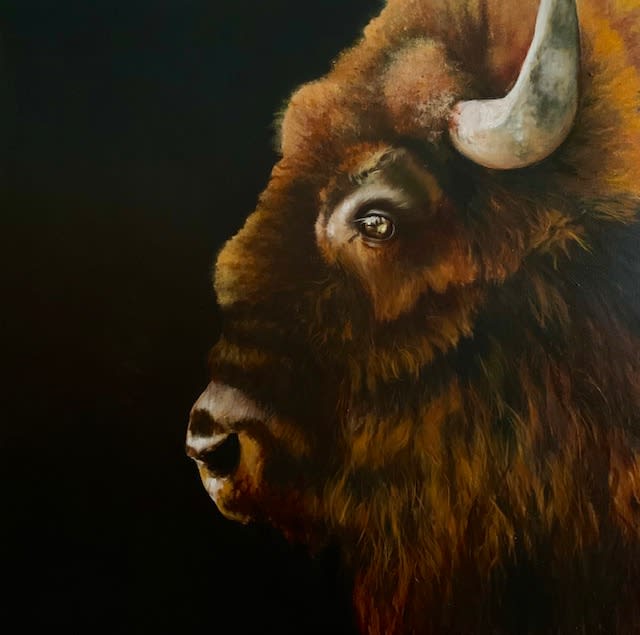 James Jensen, Old Logan