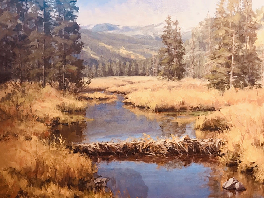 Bob Rohm, Beaver Dam - Homestake Creek Wetland