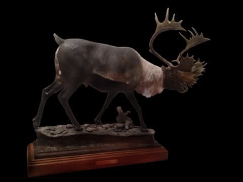 Sam Terakedis, Tuktu