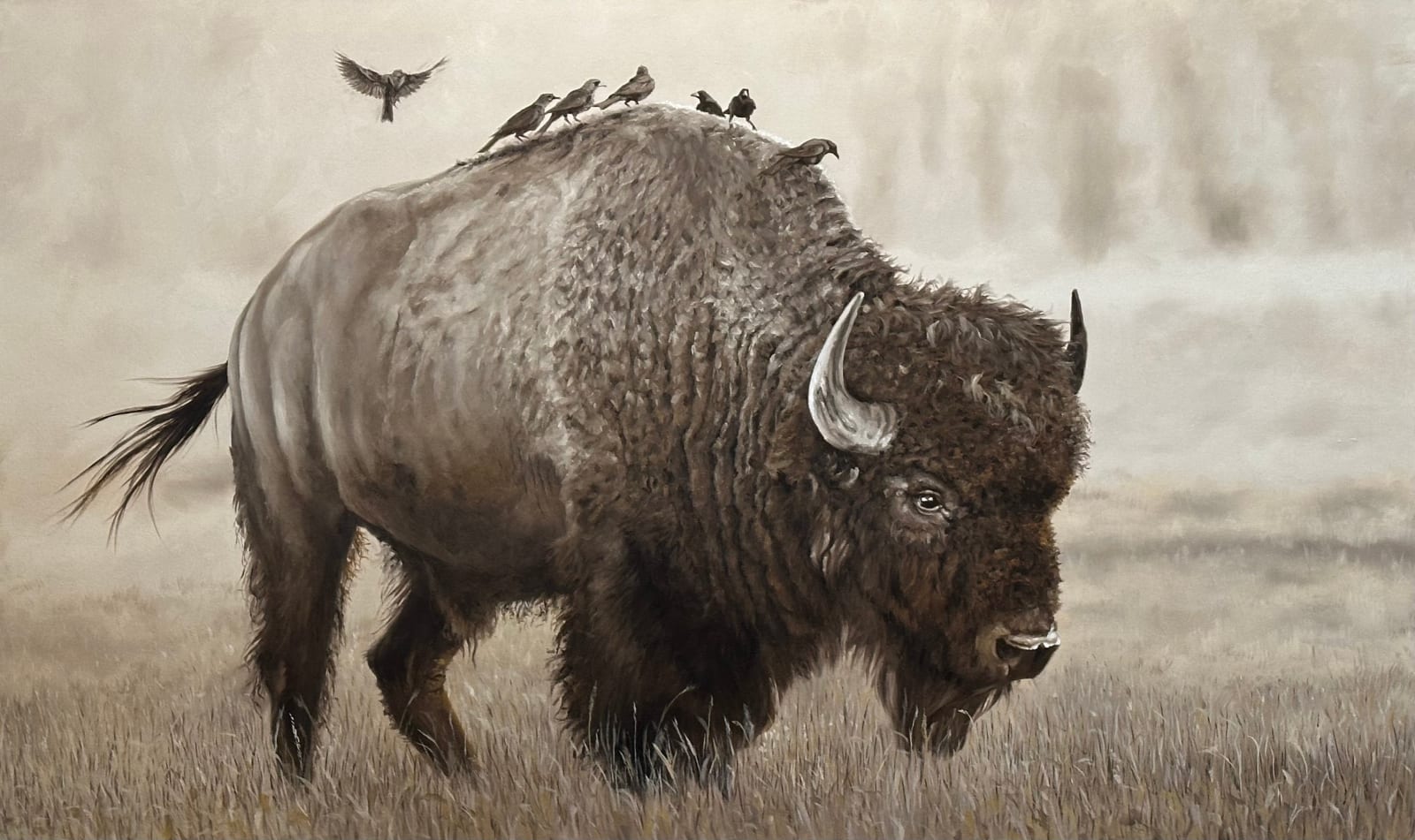 Doug Behm, Free Ride