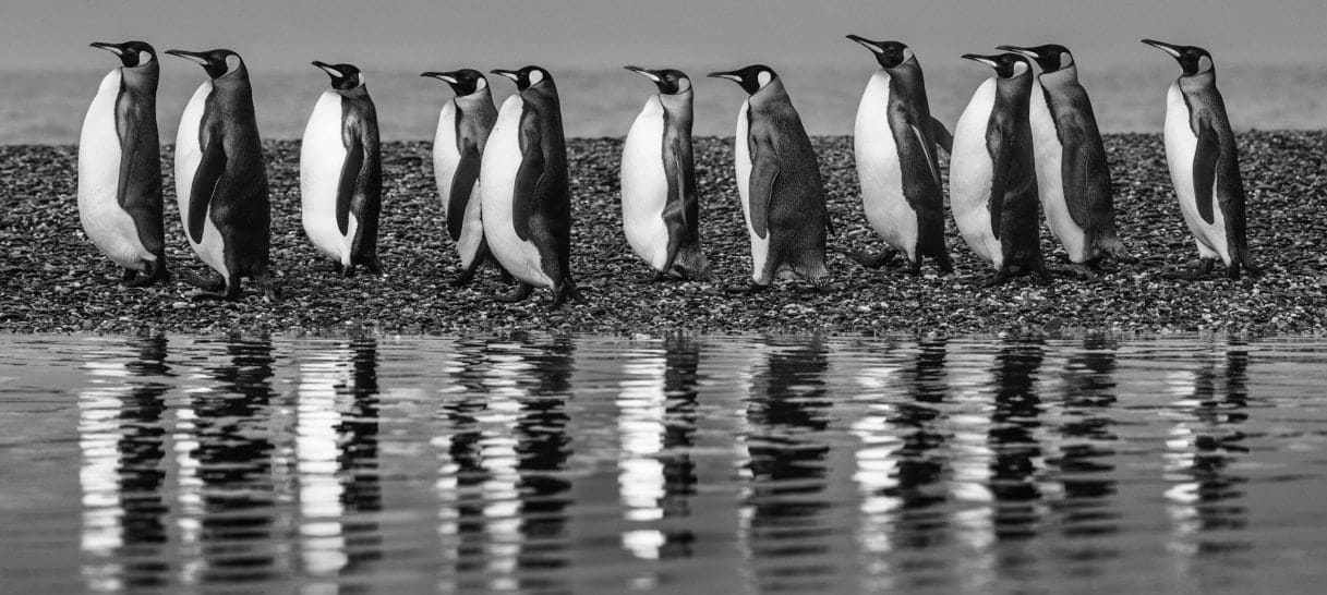 David Yarrow, Ocean's Eleven