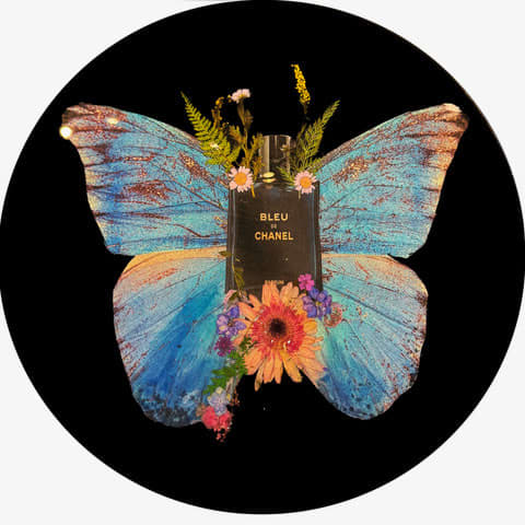 Anke Schofield, Blue Dream