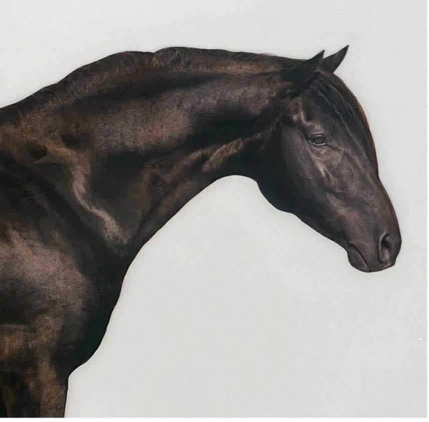 Anke Schofield, Horse 1