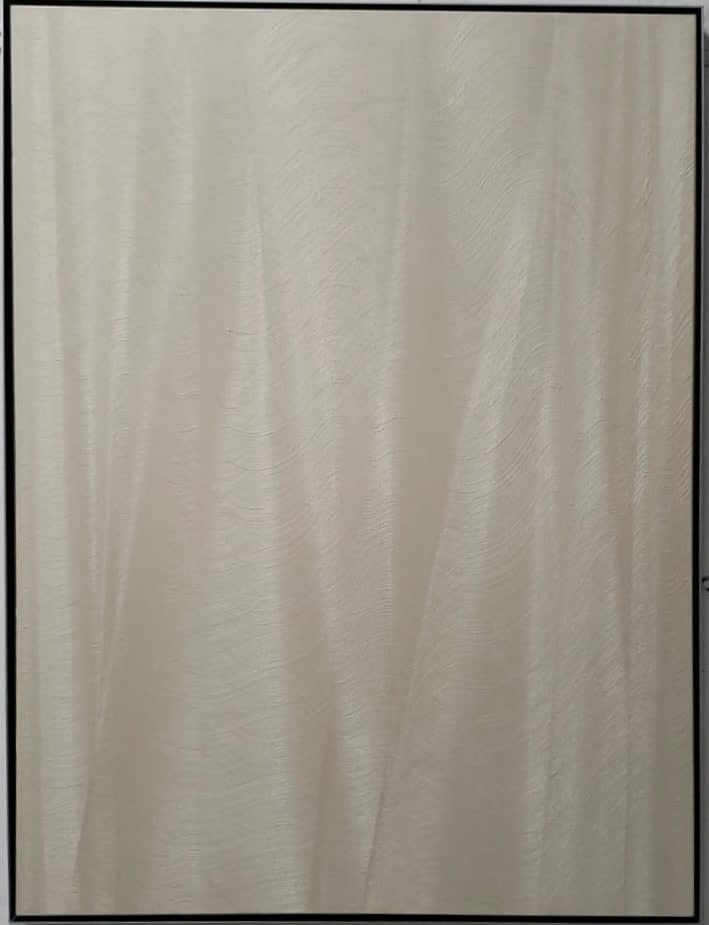 Hamilton Aguiar, Optical 24111