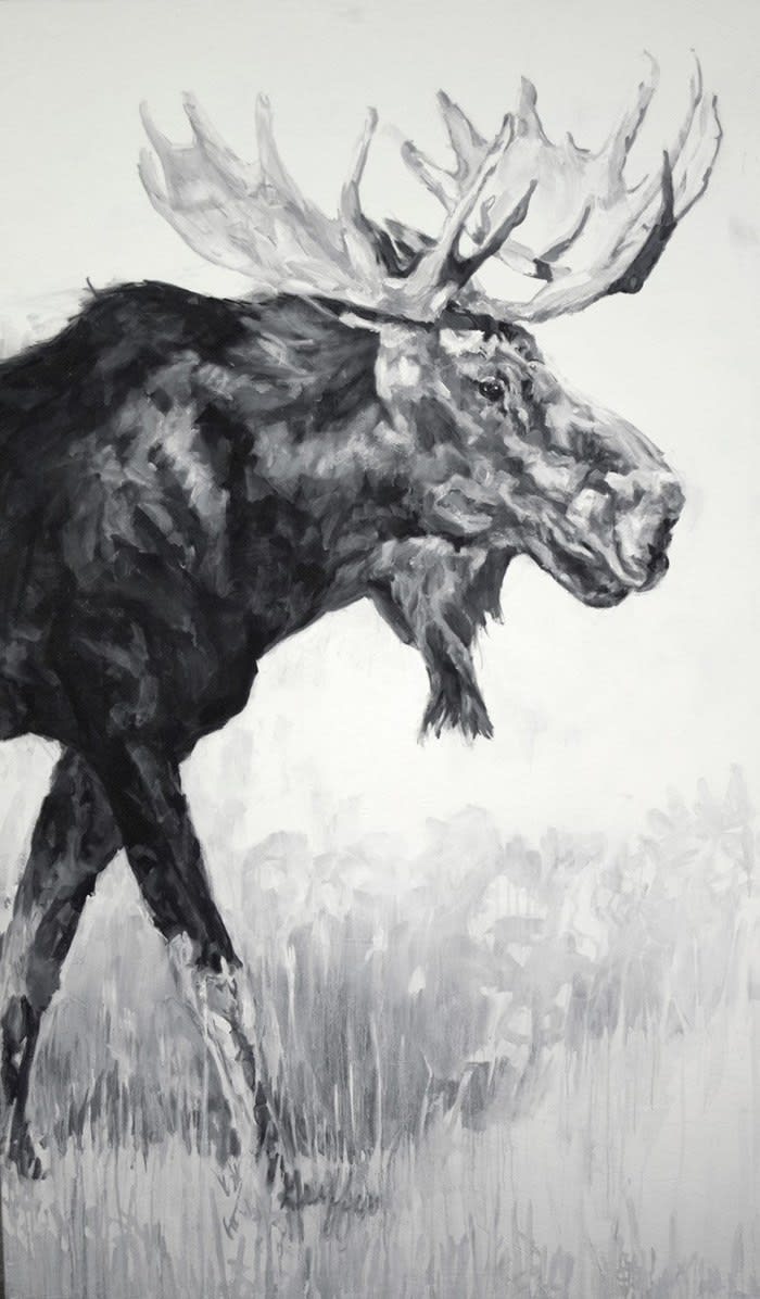 Patricia Griffin, Maximus