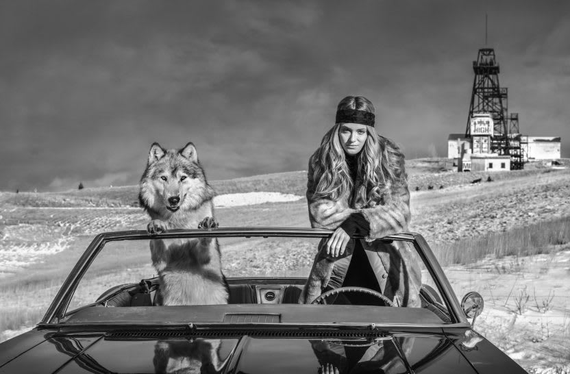 David Yarrow, The Mile High Club