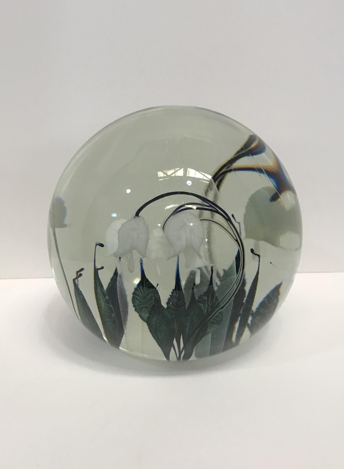 Tim Lotton, White Bleeding Heart Sphere