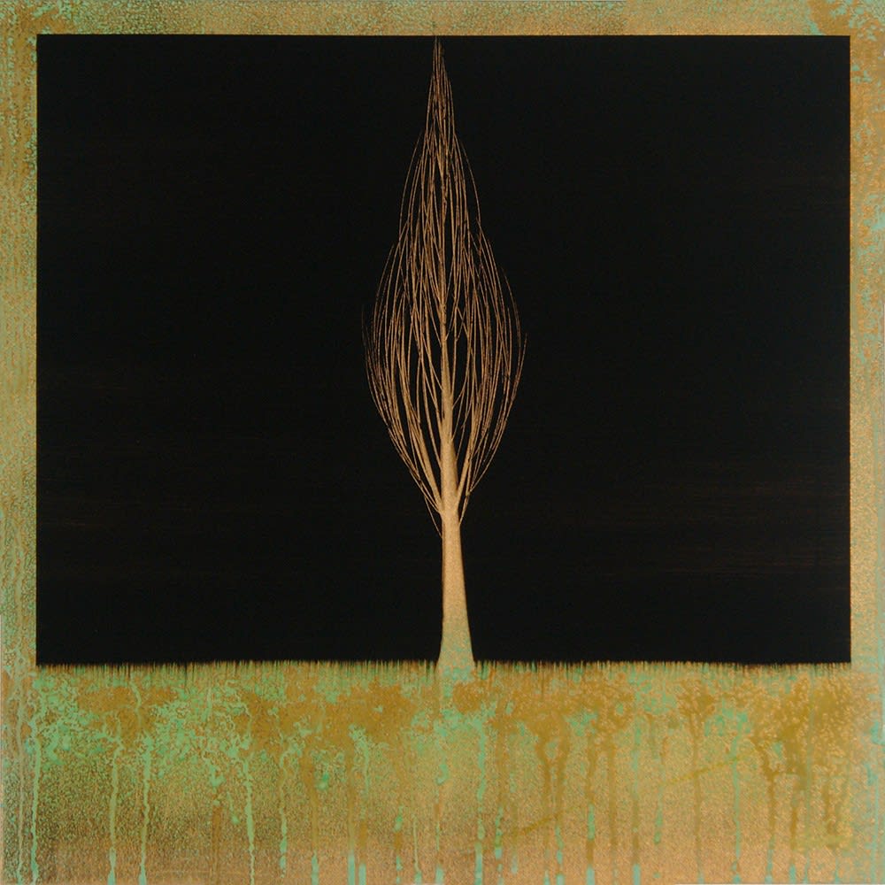 Hamilton Aguiar, 16097 Solitude