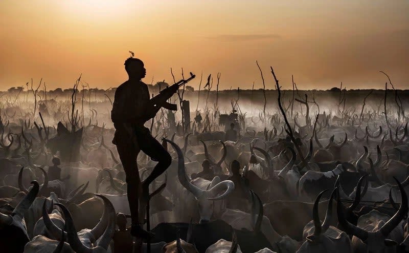 David Yarrow, The Color of Money
