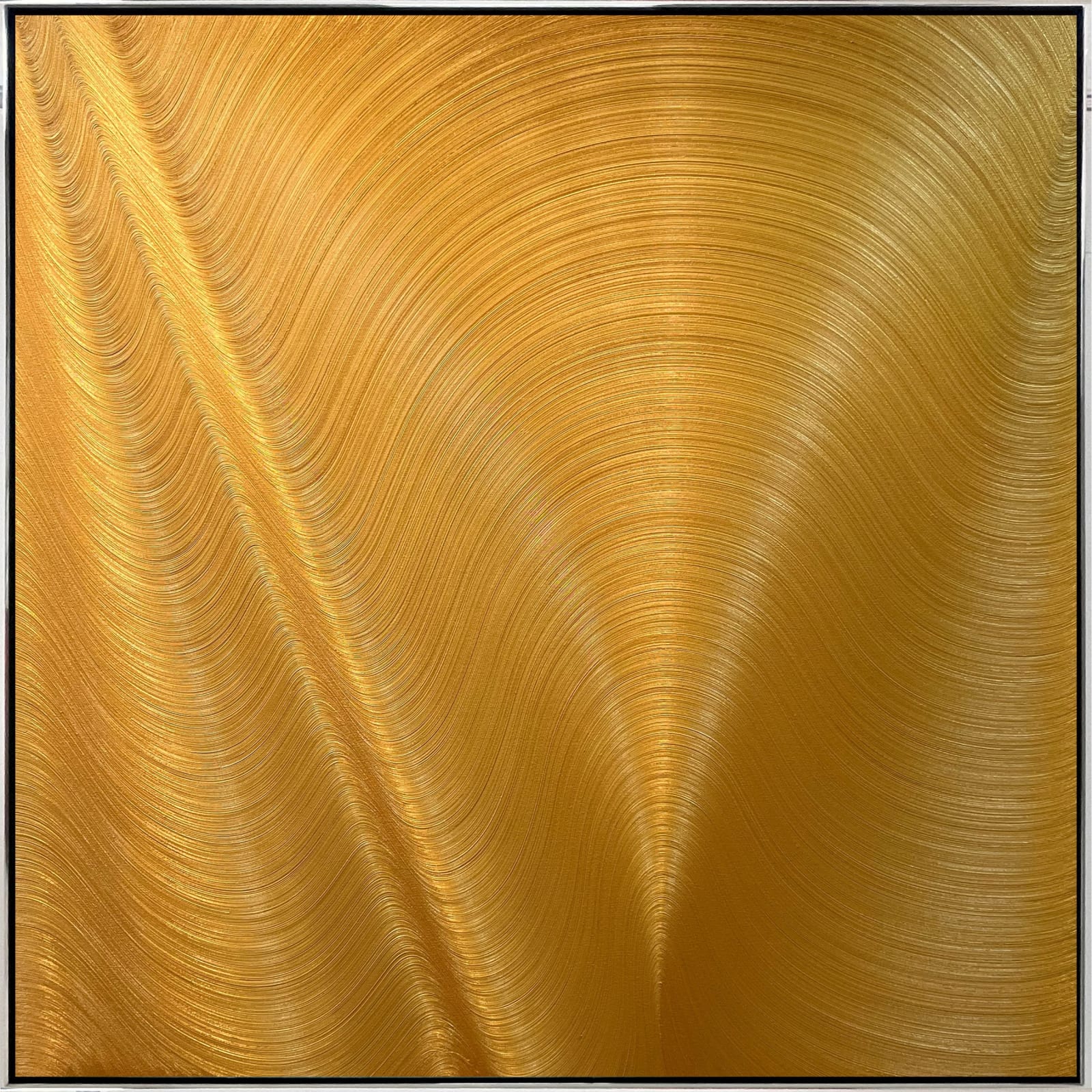 Hamilton Aguiar, Optical 22131