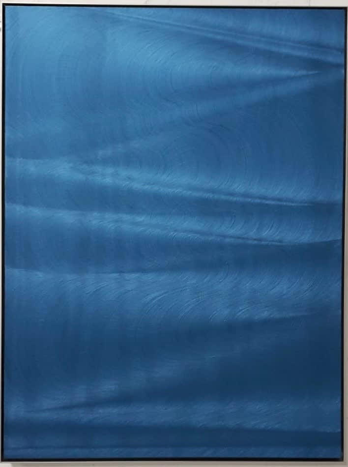 Hamilton Aguiar, Optical 23053