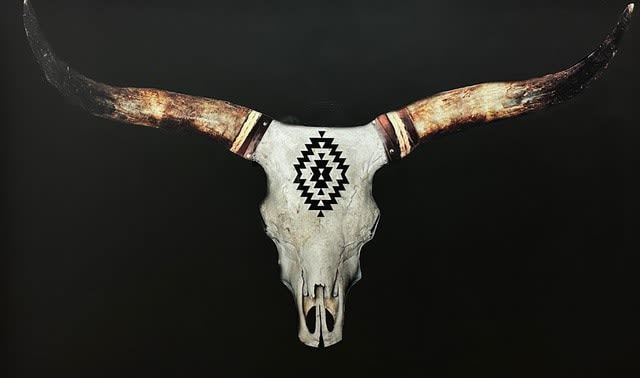 Anke Schofield, Texan Star