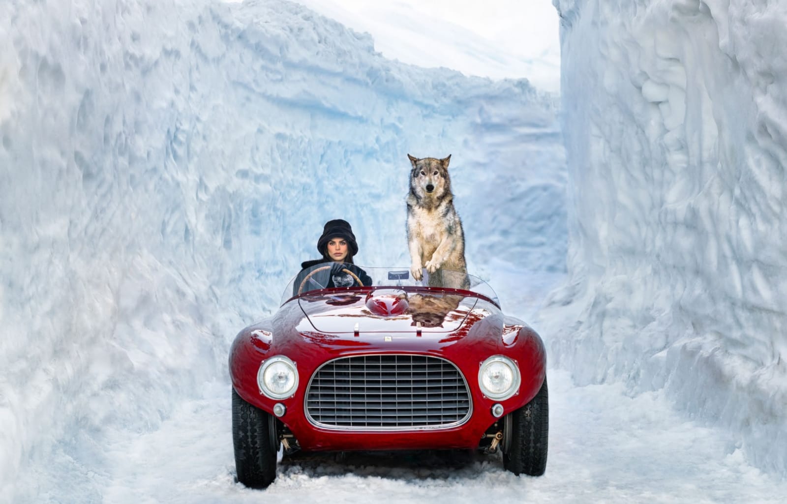 David Yarrow, 1953 (Color)