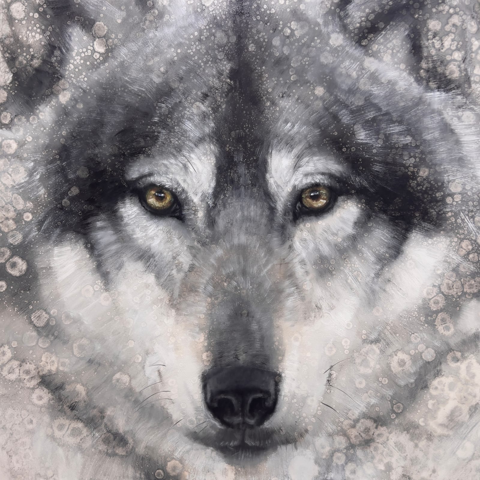 David Riley, Patience