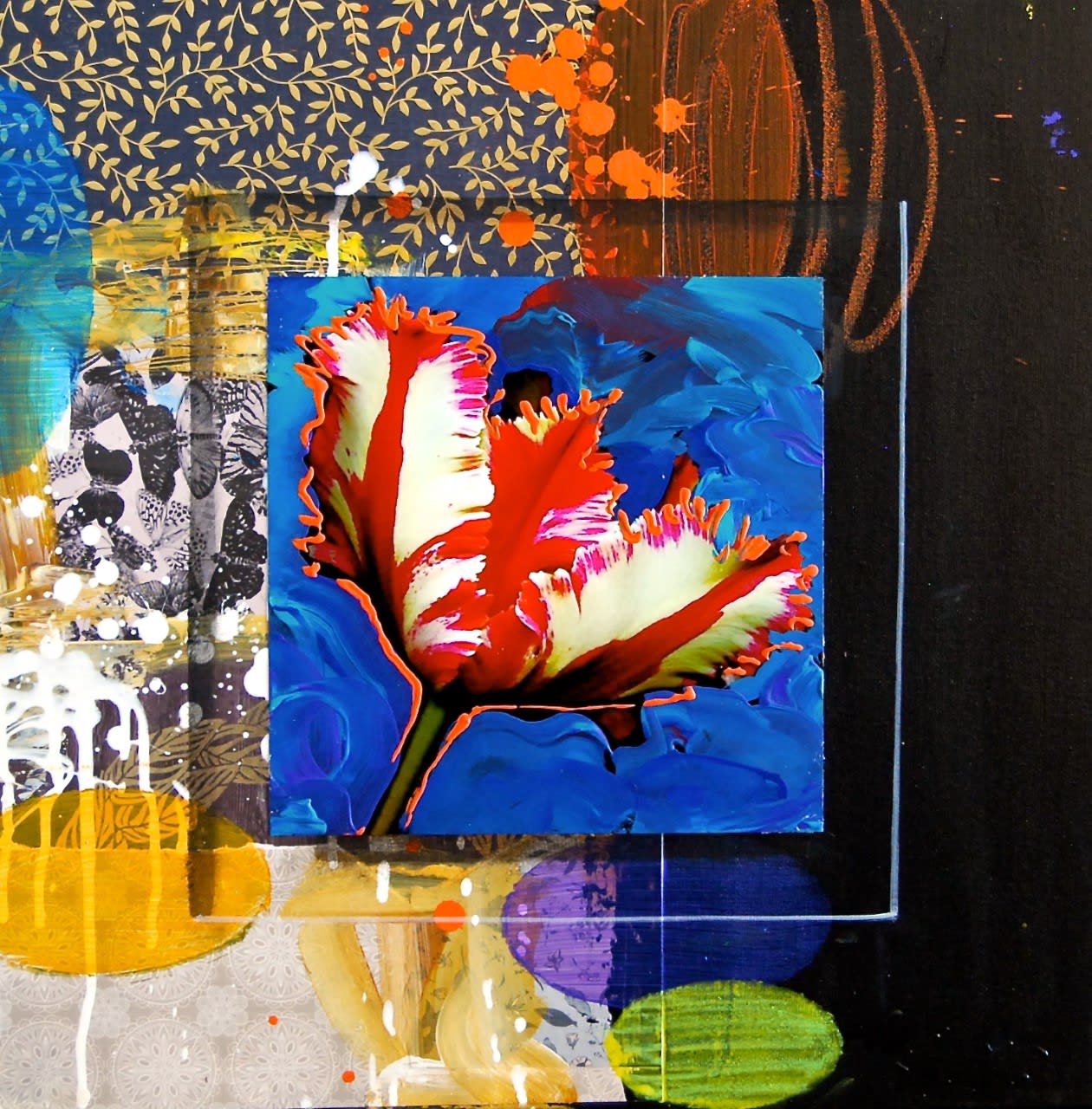 James Jensen, Tulip White Red 10220