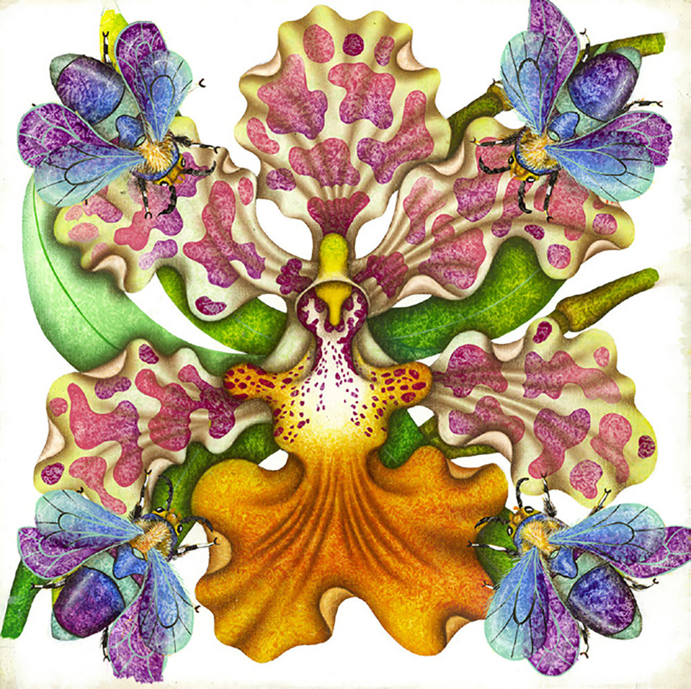 Luis Sottil, Dama Danzante Eggshell Series