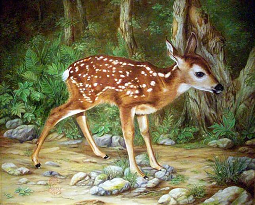 Antal Goldfinger, Bambi