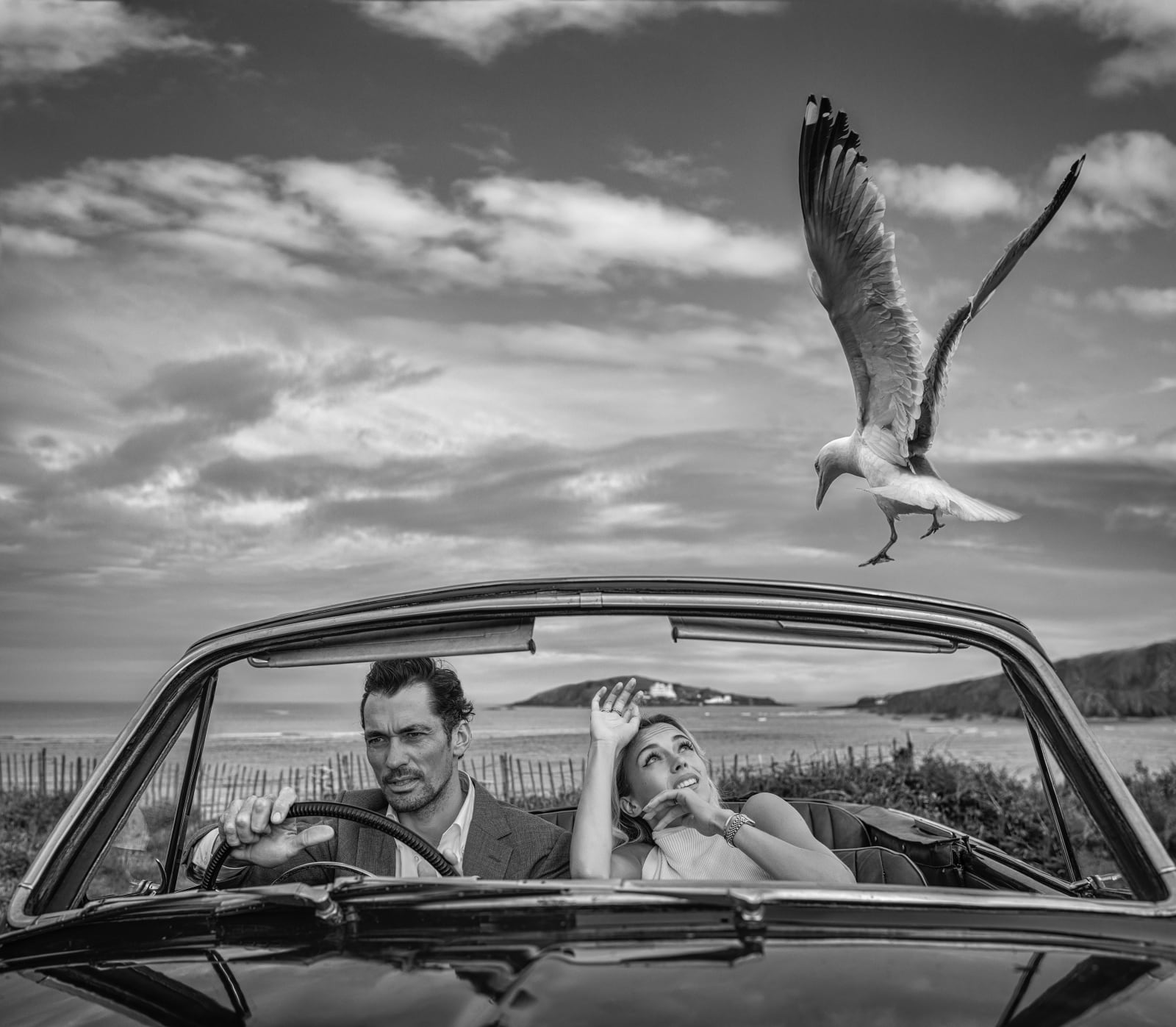 David Yarrow, Bodega Bay