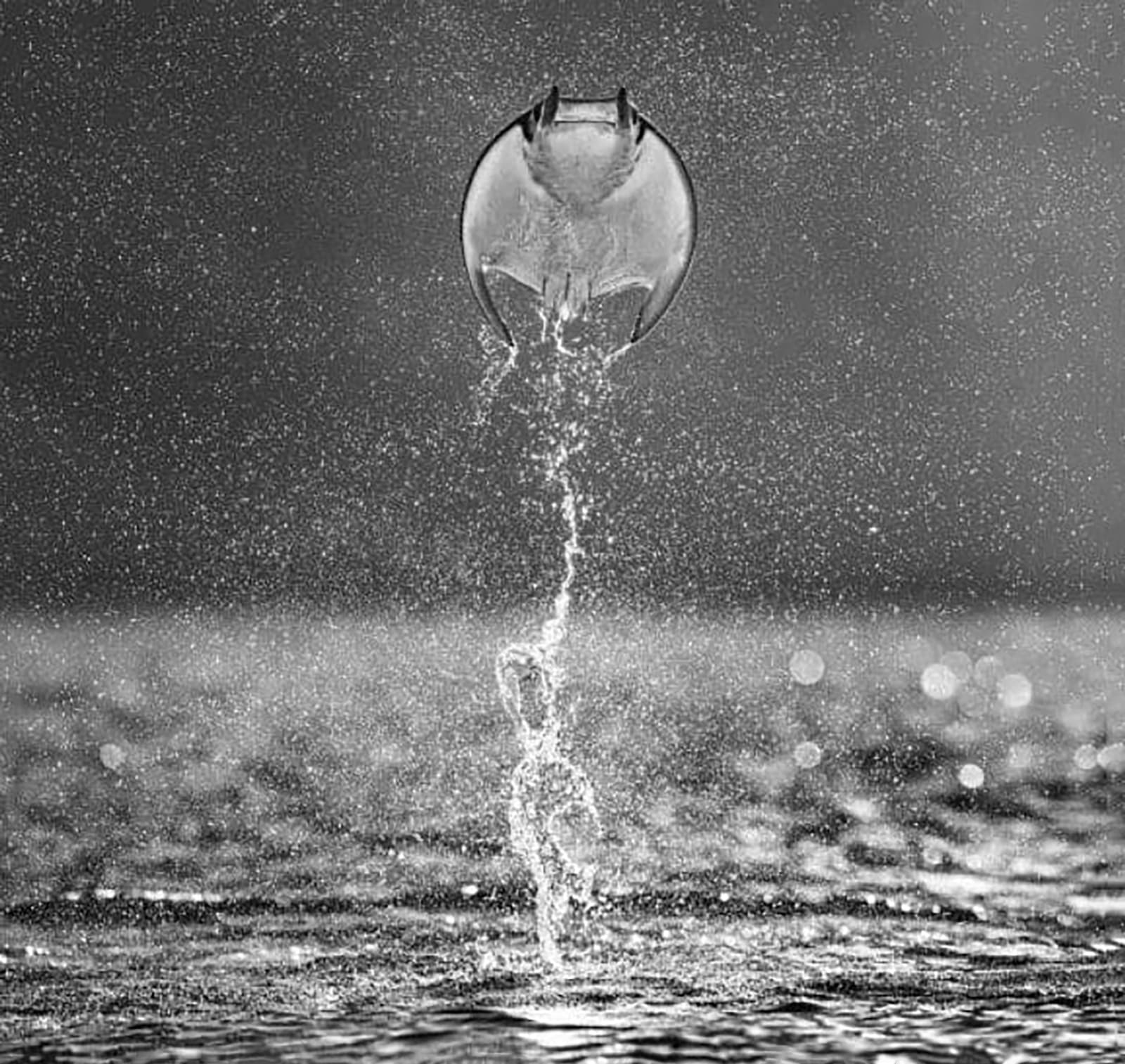 David Yarrow, Rocket Man