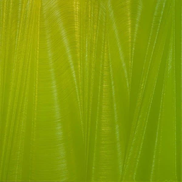 Hamilton Aguiar, Optical 21074