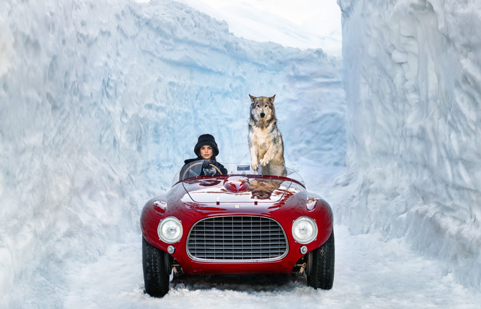 David Yarrow, 1953
