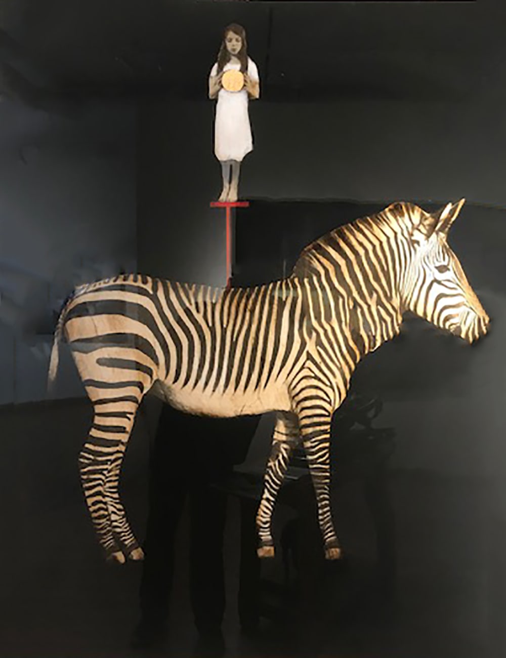 Anke Schofield, Zebra Girl