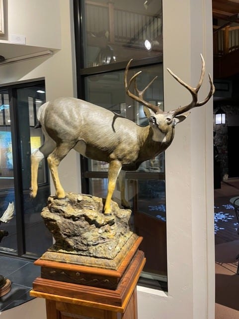 Sam Terakedis, Ridge Runner