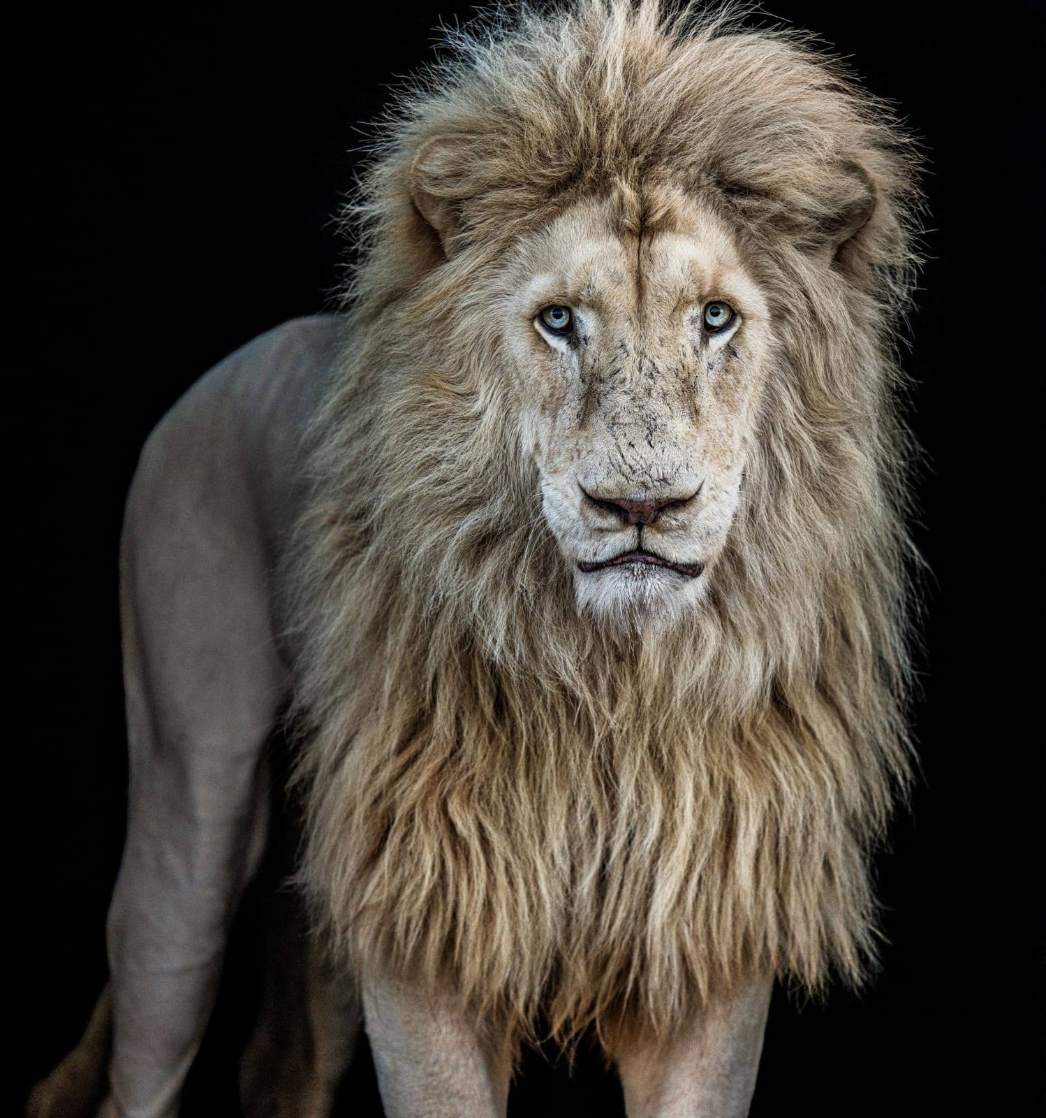 David Yarrow, Something's Gotta Give (Color)