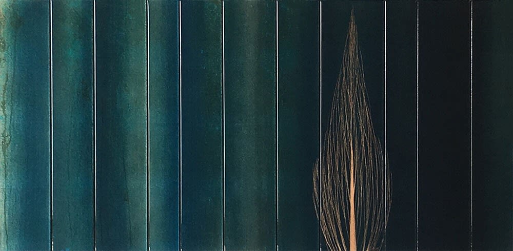 Hamilton Aguiar, 17071 Cores