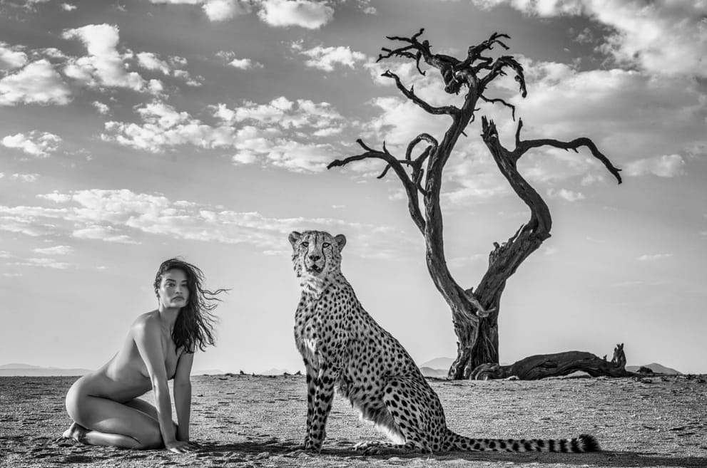 David Yarrow, Enjoy The Silence