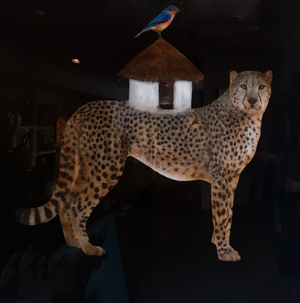 Anke Schofield, Shelter