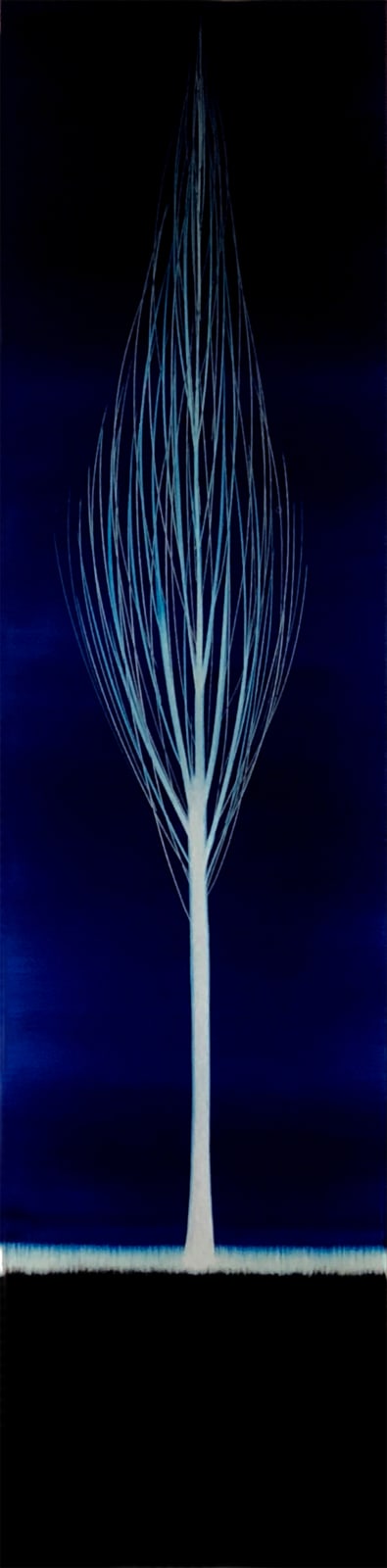 Hamilton Aguiar, 17130 Solitude