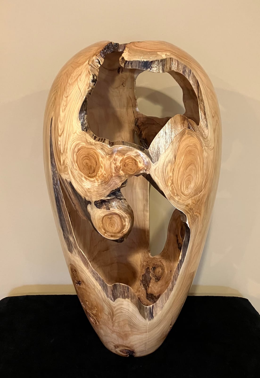 Randy Anderson, Leyland Cypress