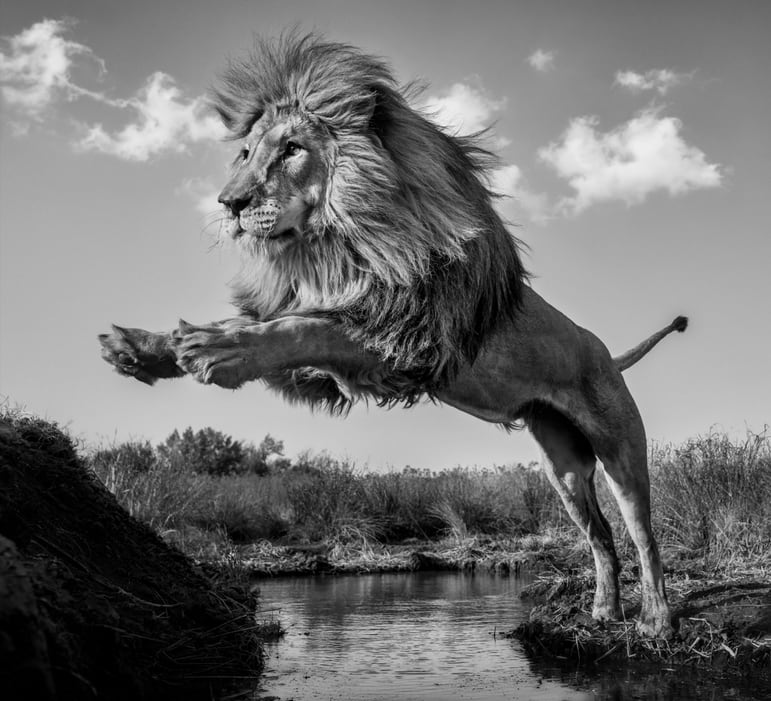 David Yarrow, O Captain! My Captain