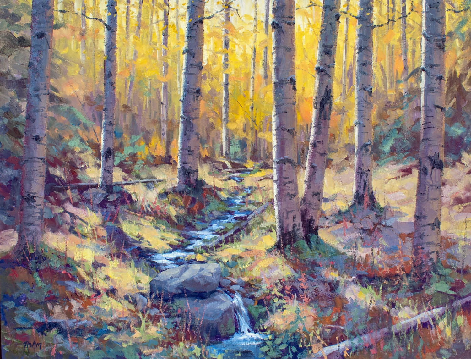 Bob Rohm, Fall Stream